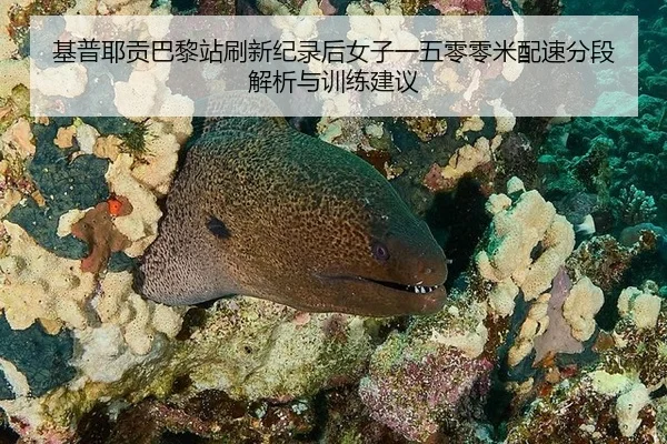 基普耶贡巴黎站刷新纪录后女子一五零零米配速分段解析与训练建议