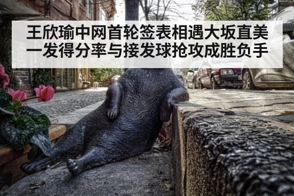 王欣瑜中网首轮签表相遇大坂直美 一发得分率与接发球抢攻成胜负手